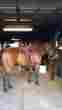 1530 Billy Cook Original Barrel Saddle