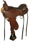 1581-1601-04 Circle Alabama Trail Gaiter Spider Border Gaited Saddle 762786486903