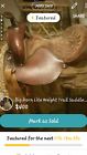 168-15 Big Horn Saddle