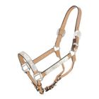 18-39-31-0 Royal King Horse Silver Bar Show Halter