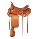 292499pn6 Tex Tan Live Oak