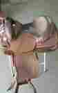 2965118003 Circle Y 15in Equitation Saddle