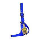 347663 Hamilton Halter Company Blue Cow Turn Out