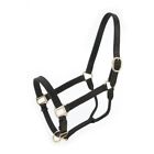 44-2021-2-0 Royal King Leather Stable Halter