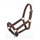 44-700-7-0 Royal King Brown Miniature Leather Halter