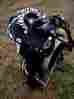 4946 Prorider 17 Western Cordura Trail Barrel Pleasure Horse Saddle Bridle Tack Zebra