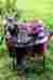 4979 Prorider 17 Western Cordura Trail Barrel Pleasure Horse Saddle Bridle Tack Pink