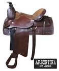 60416 Buffalo 16 Argentina Cow