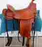 60653 Hope Trail Saddle J Maxwell J.j