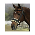 85502 D Mustang Nylon Lunge 635913009248