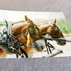1800s 85638 Unbranded Tombstone Az Pick Up