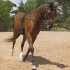 8988 D Mustang Balance Training 635913037951