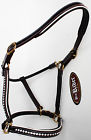 927r09f Equine Horse Riding Leather