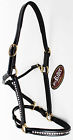 927r10f Equine Horse Riding Leather