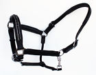 927r11f Horse Riding English Western