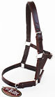 927r17br Equine Riding Horse Leather