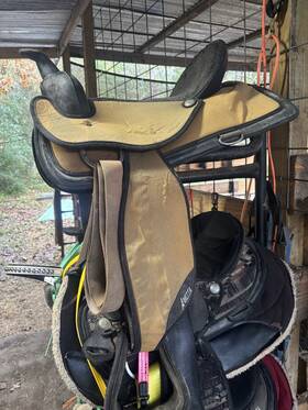 20555-6 Abetta 16 Inch Lightweight Trail Riding Horse Saddle