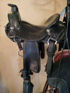 804160234 Allegany Mountain Trail Saddle Cascade Wade Black 16 Inch Aw 1/2 Tree
