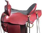 Arsa107v1-17-m1 Great American Gaited Trail Pleasure Endurance Horse Leather 695922153257