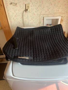 Bt-21380003 Back On Track 66bt Full Size No. 1 All Purpose Horse Saddle Pad Black