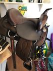 Bh299 Big Horn 15 Brown