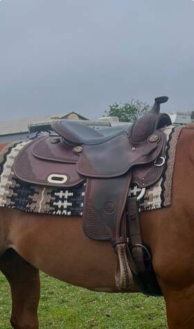 157669 Billy Cook Pro-reiner Saddle 15.5 Inch