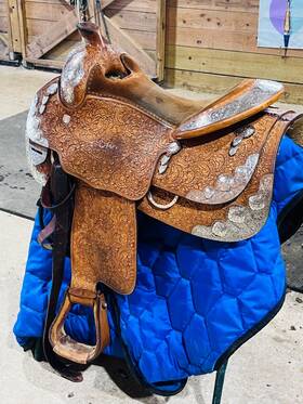 Br20033 Blue Ribbon 16 Inch Show Saddle Padded To A 15.5