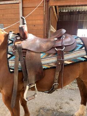 082-16380500 Circle Y Roohide 17 Inch Original Roo Tree Cutting Saddle