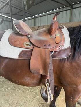 2040765 Circle Y 14 Inch Barrel Saddle The Proven