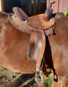 Circle Y 205414011259 Barrel Racing Saddle. 14 Inch Seat. Round Skirt
