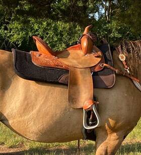3729297229 Circle Y 13.5 Inch Used Barrel Saddle
