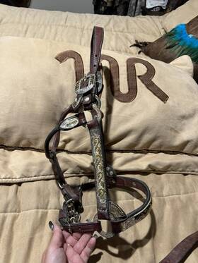 568-5 Circle Y Show Halter With Line