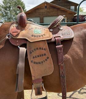 Corriente Saddle Co. J45134 Co. Trophy 4h Barrel 15 Inch