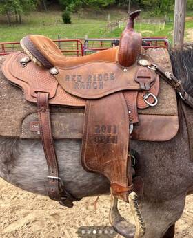 2011-open Courts 15in Sharon Camarillo Barrel Saddle