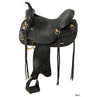 E007286 Royal King Memphis Gaited