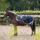 E014442 Amigo Pony Competition Sheet