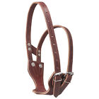 E018267 Crib Be Gone Leather Collar