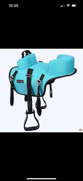 Hssp227-trq Hilason Western Horse Saddle Buddy Seat For Kids Compatible With Horses