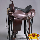 Hsdf200-18 Hilason Df200a Western Draft