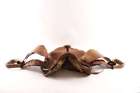 N4385 Am Old Buck Steiner Rustic Saddle