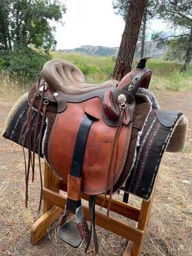 A0372 Orthoflex Saddle
