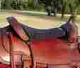 Tc-w2l Cashel Western Long Tush Cushion Size 1 2 Thick Foam Color Black 874512544242
