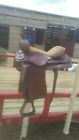 Tex Tan Kids Western Saddle Brahma