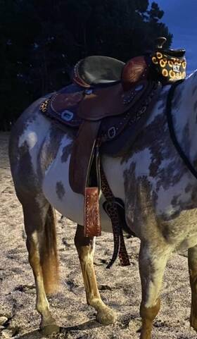 Rk245 Tough 1 One Royal King Hawley Barrel Saddle For Sale
