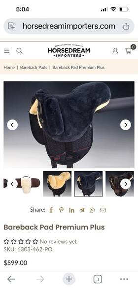 6668-64-24 Werner Christ Horse Premium Bareback Sheepskin Pad