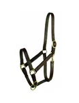 Gatsby Halter Turnout Adjustable Snap Single Buckle Crown 401069. Fixed Price $64.99.