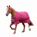 Shires Tempest 200G Turnout Blanket. Fixed Price $119.99.