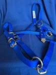 Draft Sized Hamilton Horse Halter - Royal Blue. Fixed Price $25.00.