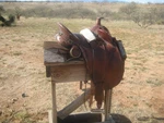 Colorado Saddlery Australian Trail Endurance 13 With Horn & Stirrups. Fixed Price $295.00.