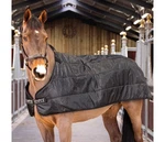 Shires Tempest Warmarug 100 Liner. Fixed Price $59.99.